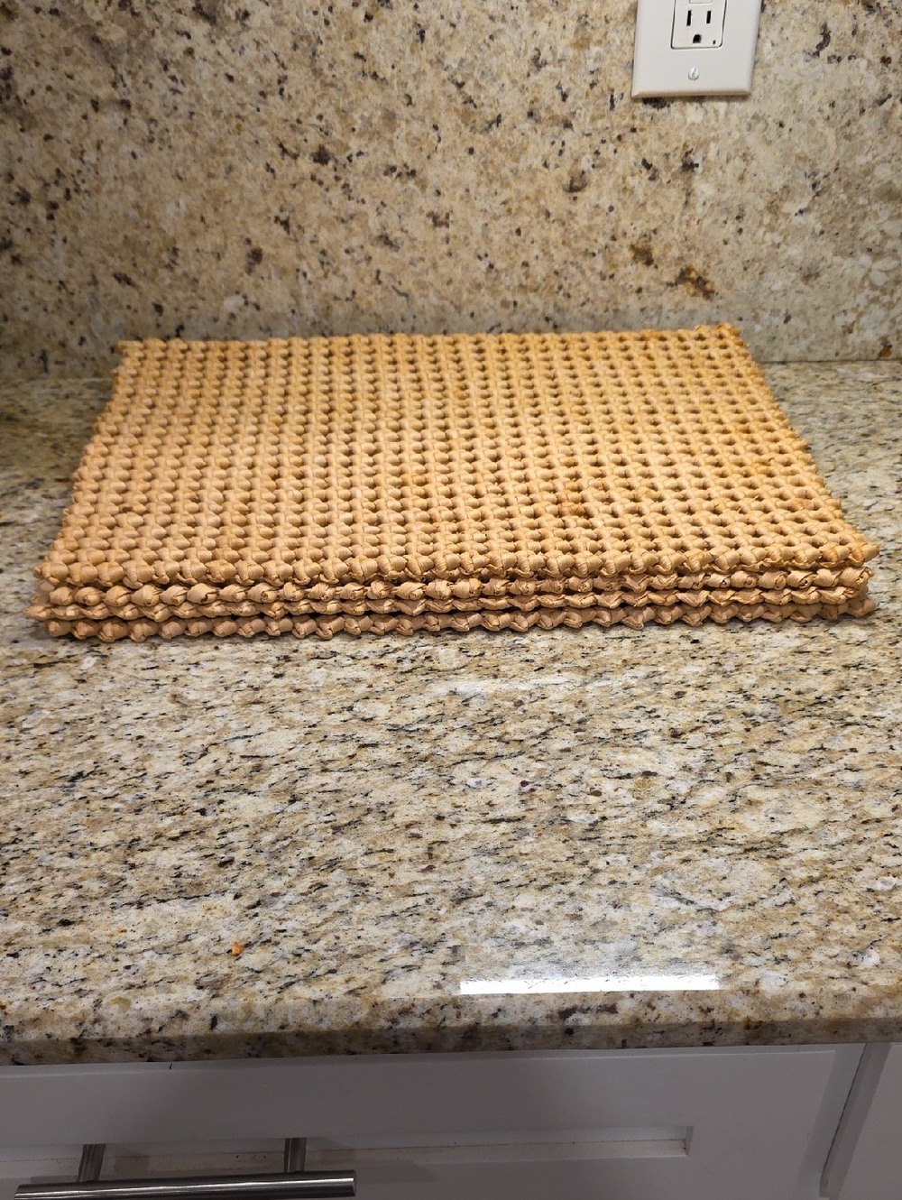 Handwoven Buri Placemats  Fan Palms